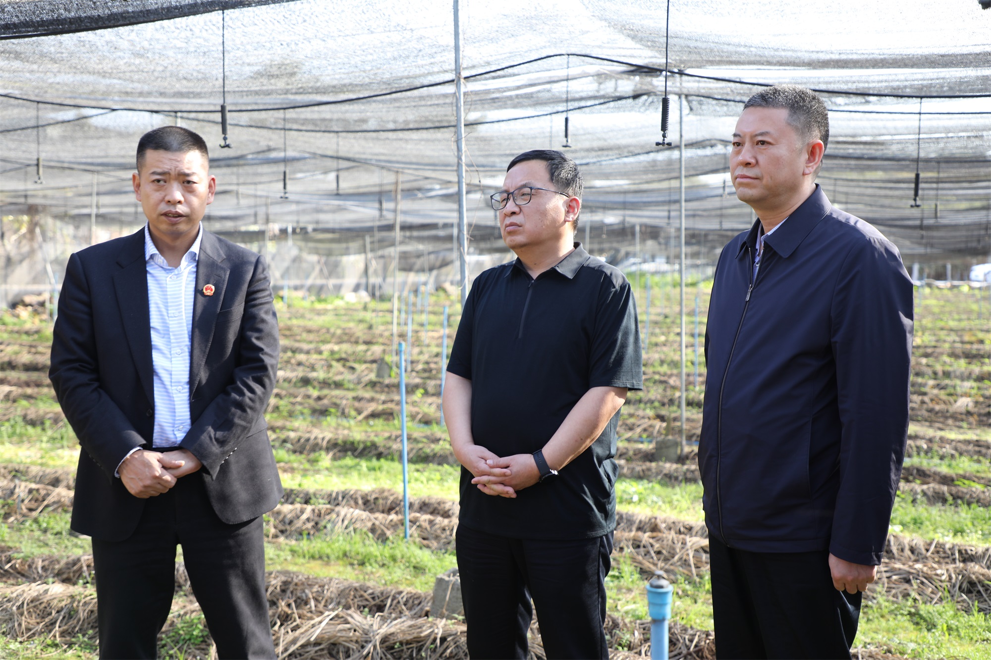 日博集团·(中国区)官方网站